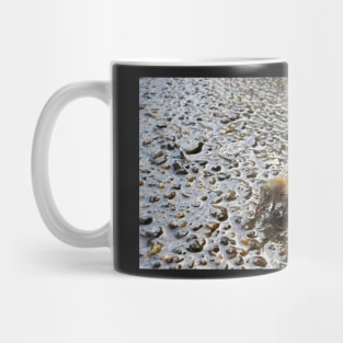 Honey Bee Drinking Water Mug